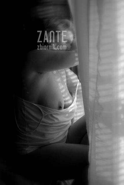 ... - zante