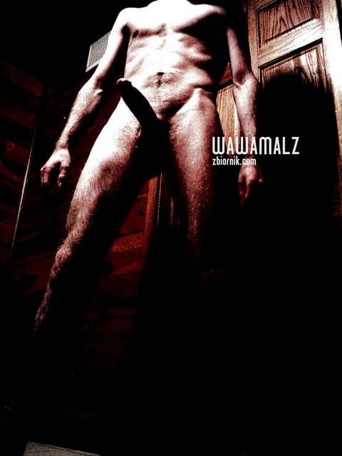 Meski pornart - Wawamalz