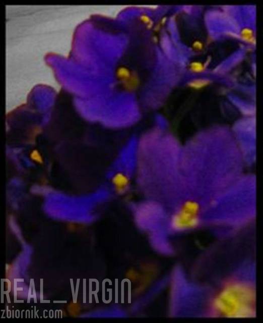 Od Natii - Real_virgin