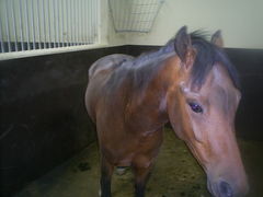 w 99% mam podobne geny