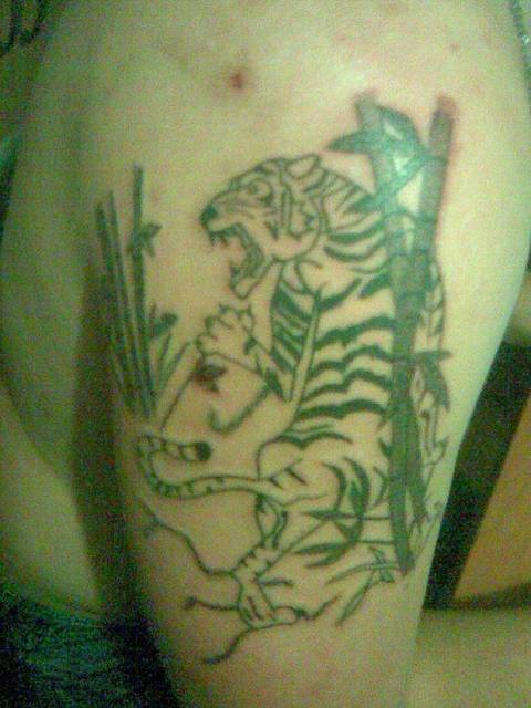 20101219.jpg - misiek235