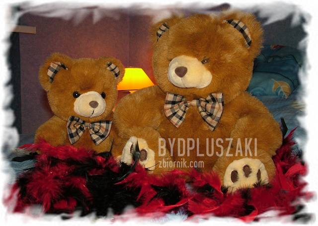 Pluszakowa parka - BydPluszaki