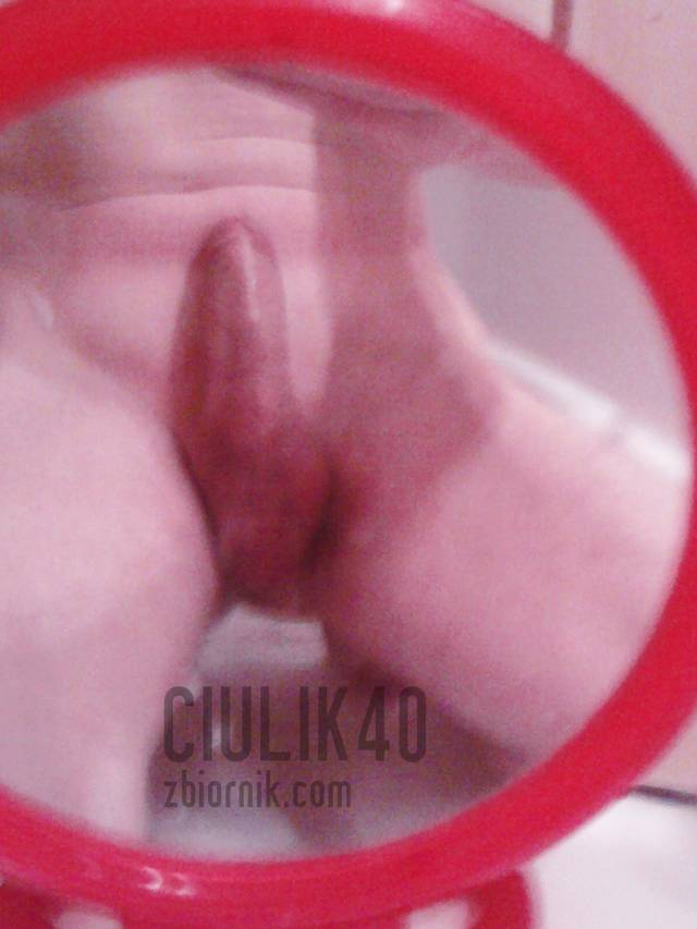 ciulik40