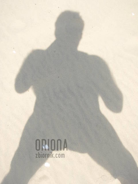 a1.jpg - oriona