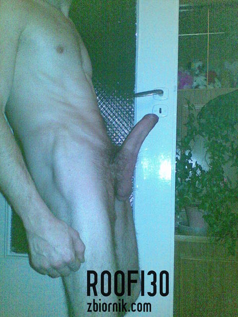 07012011_003.jpg - roofi30