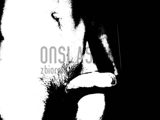 onslaskjz