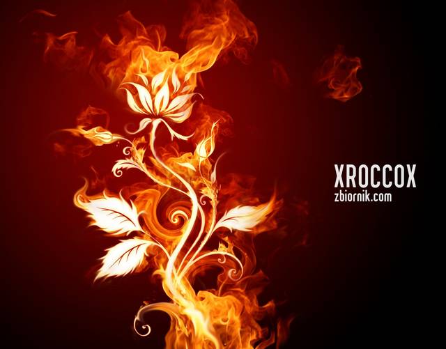 F O R   Y O U ..... - XROCCOX