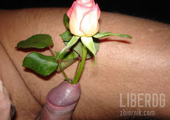 RÓŻA NA DZIEŃ KOBIET :)