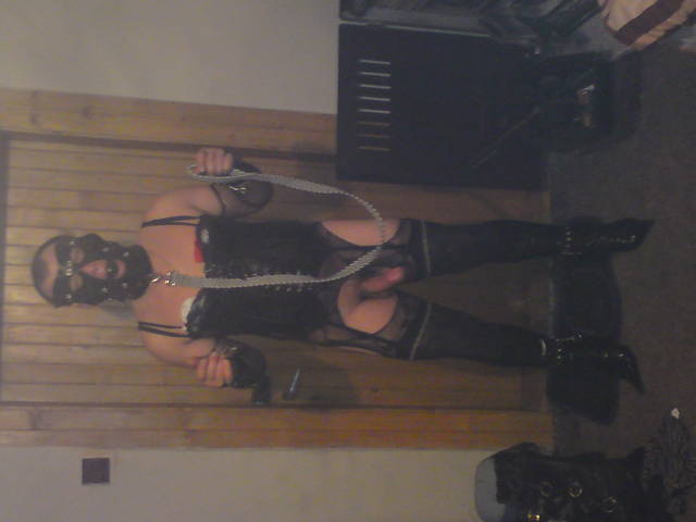 gotowa do tresury - sylwiabdsm