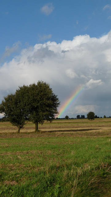 gdzieś... - Dominicjan