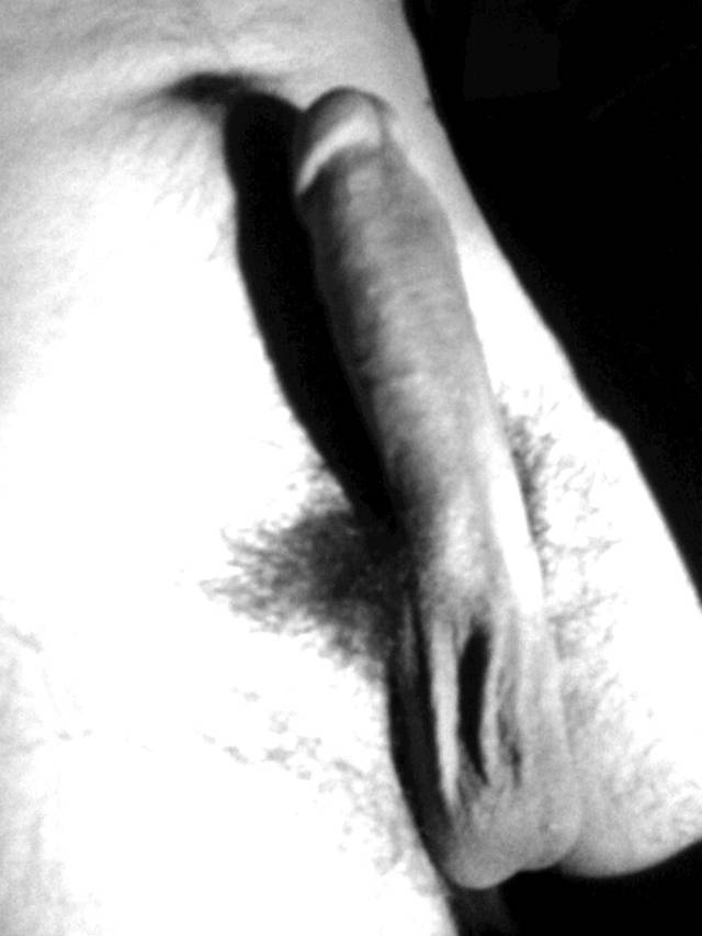 tomao