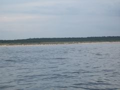 100_3531.JPG