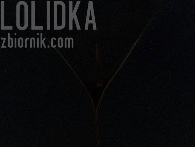 trójkącik - lolidka