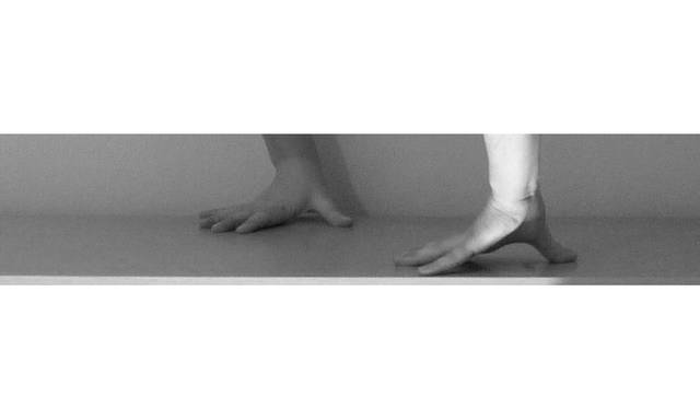 P1040789.JPG - hadare