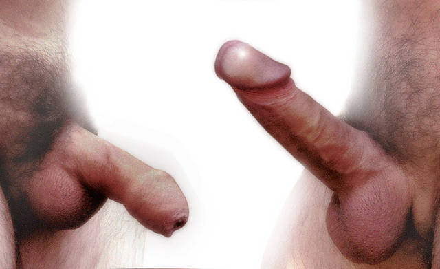 800px-Erection_Homme2[1].jpg - bielefeldkrzys
