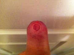 IMG_0991.JPG