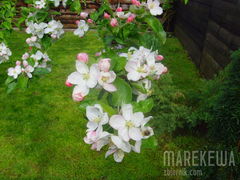 "W maju Natura jest Kobietą"