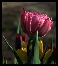 15/05/2011/2