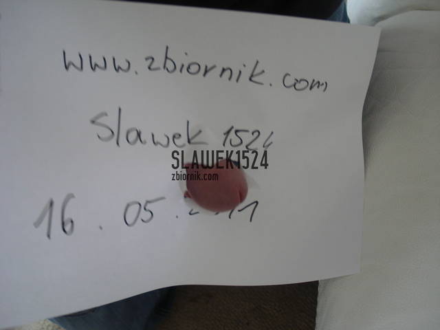 DSC05214.JPG - slawek1524