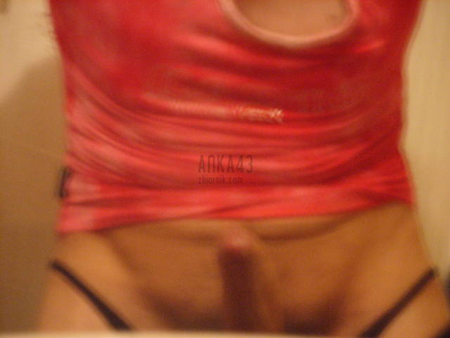 SS851706.JPG - anka43