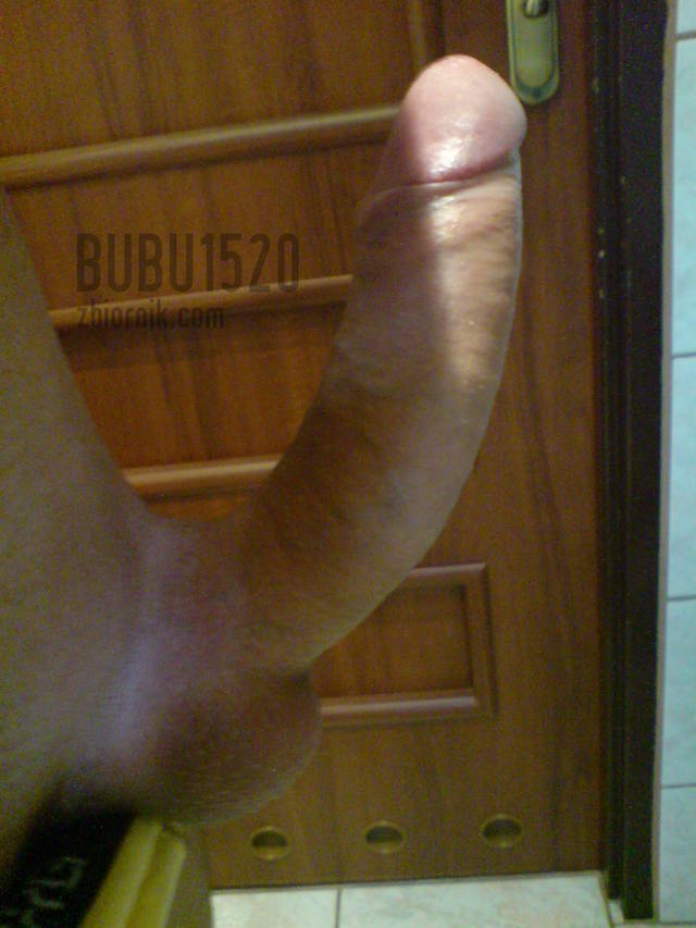 bubu1520