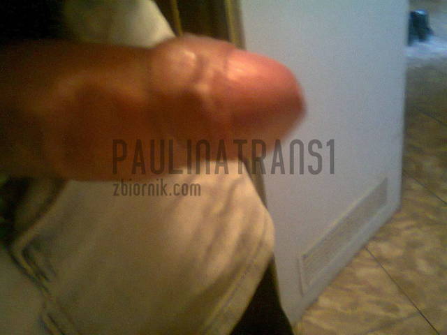 Zdjęcie0033.jpg - paulinatrans1