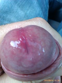 precum