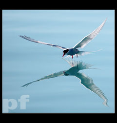 PODEJŚCIE DO LĄDOWANIA