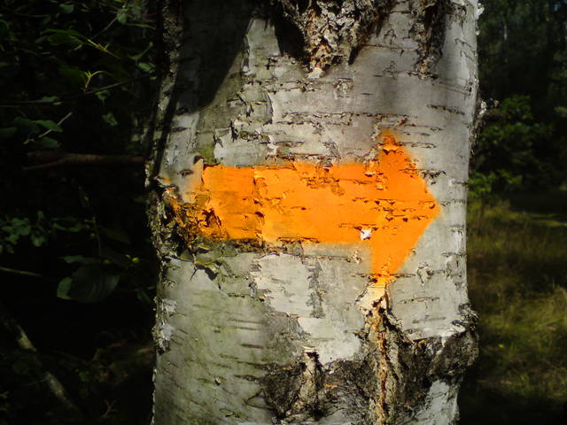 Strzałka wskazująca dojście do plaży - NAGAPlazaSULEJOW