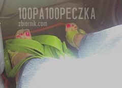 Zielone 06