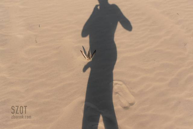 pióropusz.jpg - szot