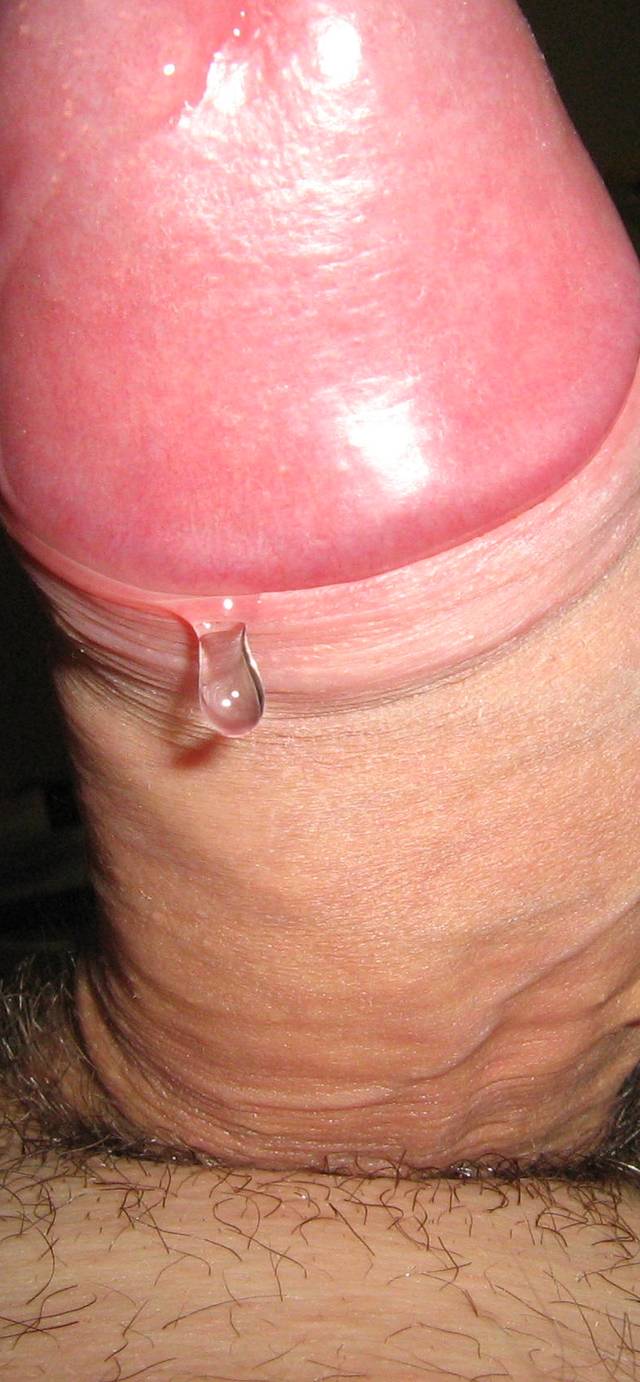 lizanko1