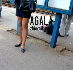 elegancja