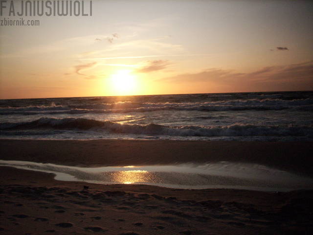 SPA55906.JPG - fajniusiwioli