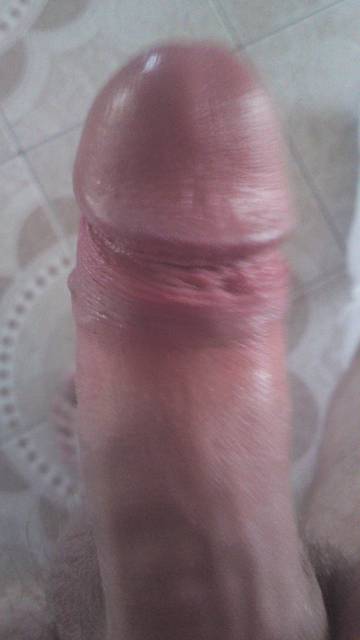 11082011386.JPG - sloniu666