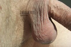 Fabryka smakołyków