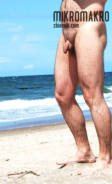 i do przodu - MikroMakro