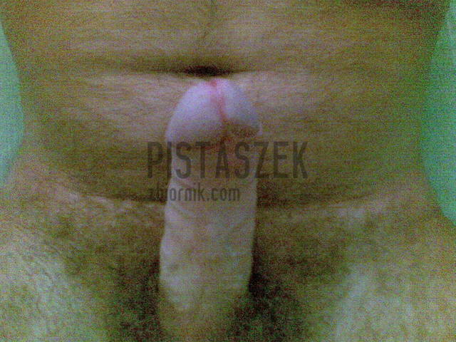 pistaszek