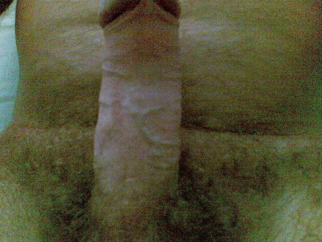 06012008(011).jpg - pistaszek