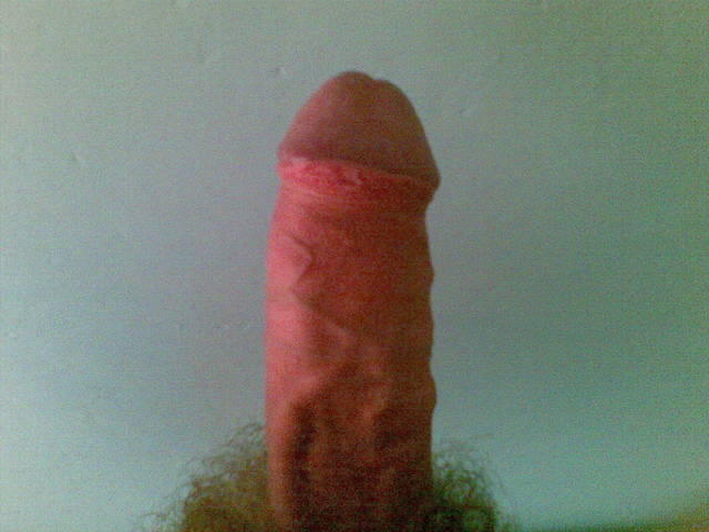 06012008(004).jpg - pistaszek