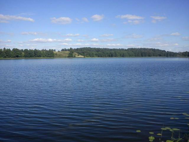 DSC00068.jpg - aga38sssss