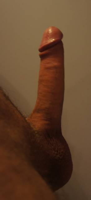 321.jpg - darek_kosz