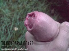 big_ed08b6ae37bb4193edf2028bd190f536.jpg