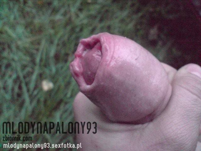 big_ed08b6ae37bb4193edf2028bd190f536.jpg - mlodynapalony93