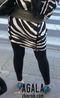 zebra z przeswitem