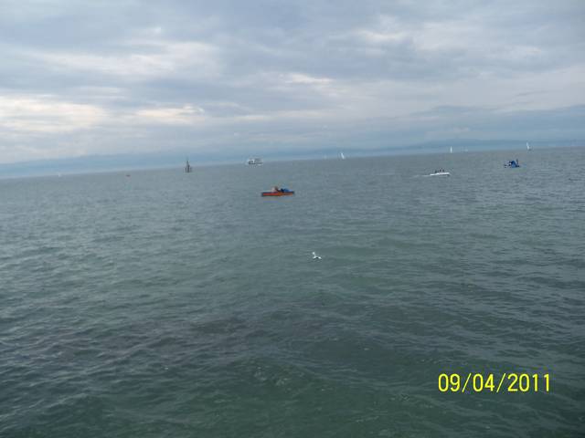 czysciutka woda jeziora bodenskiego - malz4850