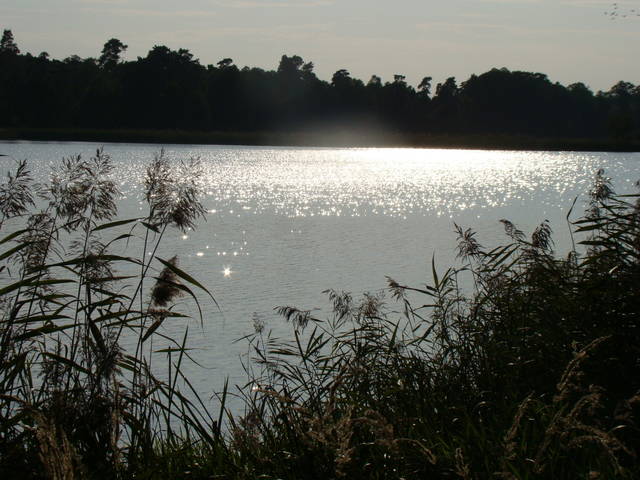 na stawach 3 - bogdan2003