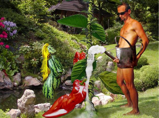 w moim ogrodzie - markuss007