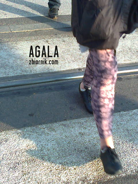 Zdjęcie0229L.jpg - AGALA