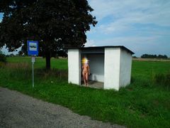 Kto podwiezie?